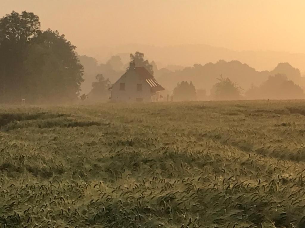 Kompas Gite Ellezelles Eksteriør bilde